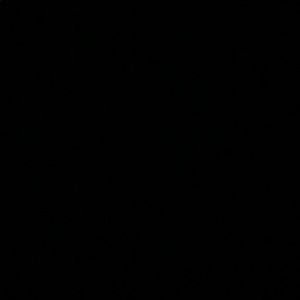 Meet your Posher, Ella